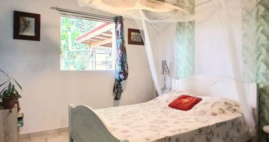 vente Propriété Sainte Rose