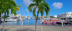 vente Appartement en marina Saint Francois