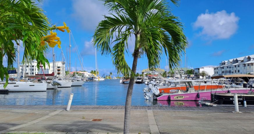 vente Appartement en marina Saint Francois