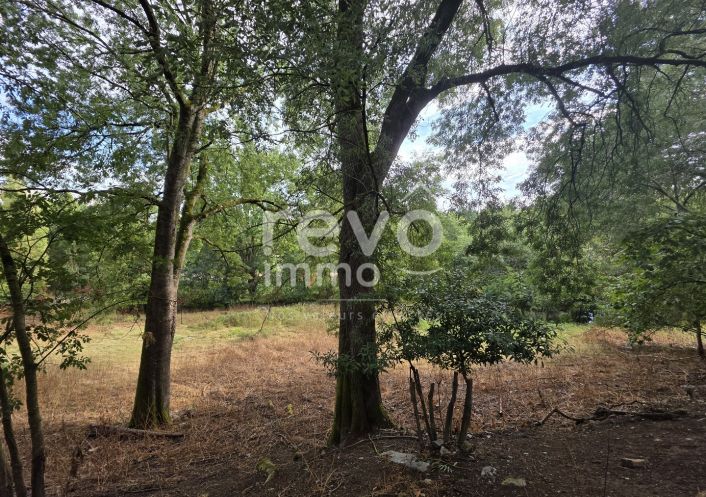à vendre Maison Saint Julien De Vouvantes