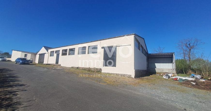 vente Entrepot Cholet
