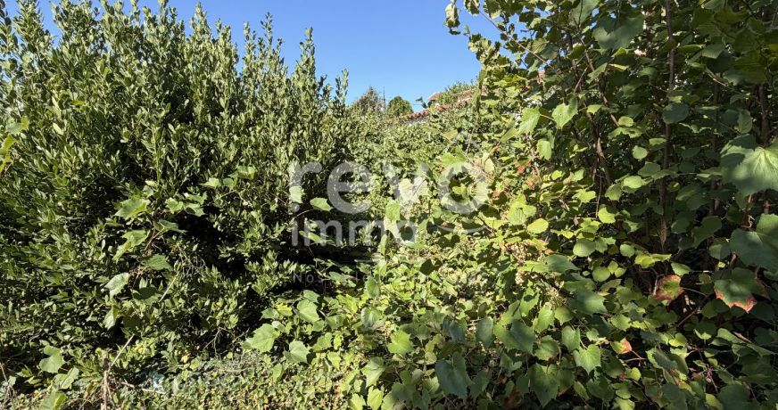 vente Maison à rénover Meximieux