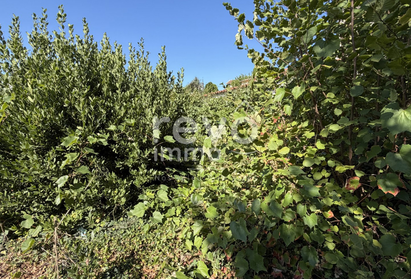 vente Maison à rénover Meximieux - Photo 5