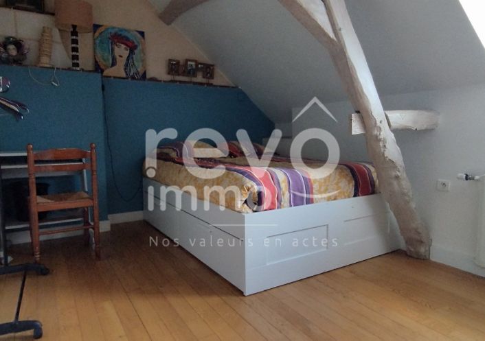 à vendre Longere Moze Sur Louet