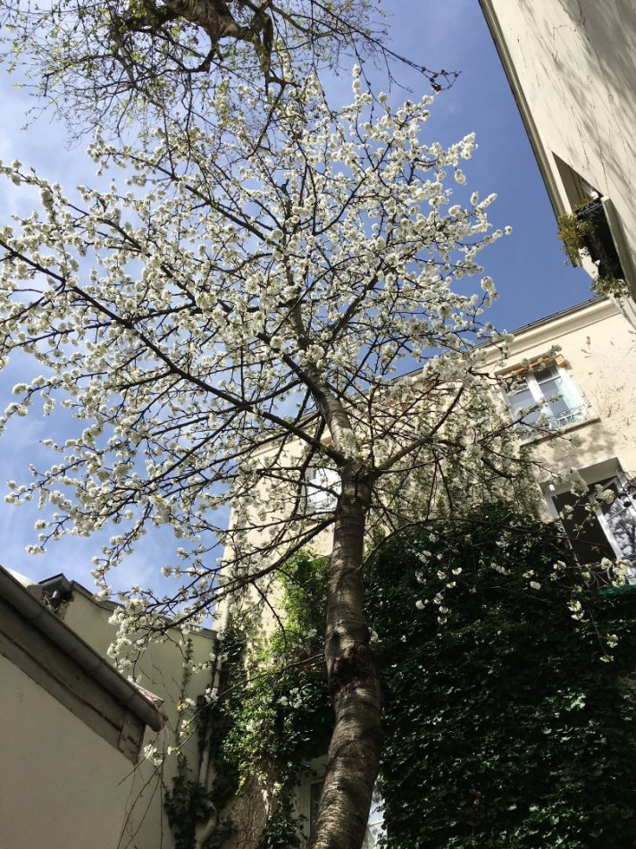 à vendre Triplex Paris 11eme Arrondissement - Photo 5