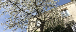 vente Triplex Paris 11eme Arrondissement