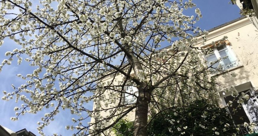 vente Triplex Paris 11eme Arrondissement
