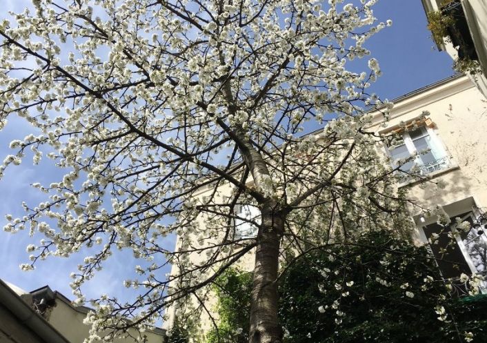 à vendre Triplex Paris 11eme Arrondissement