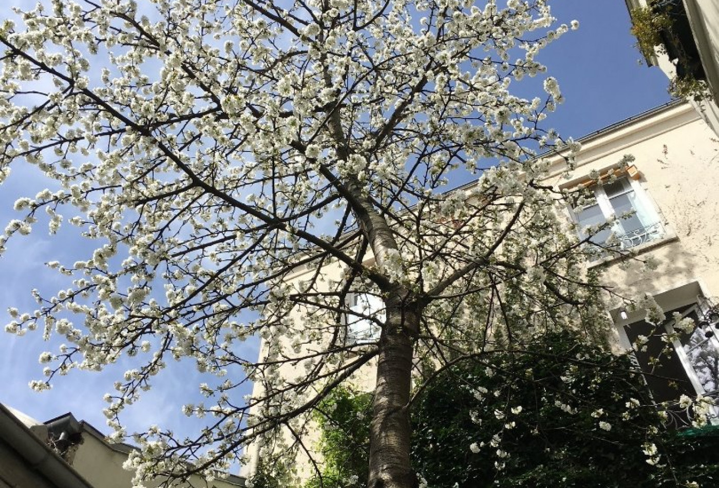 vente Triplex Paris 11eme Arrondissement - Photo 5