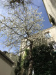 à vendre Triplex Paris 11eme Arrondissement