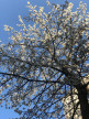 à vendre Triplex Paris 11eme Arrondissement