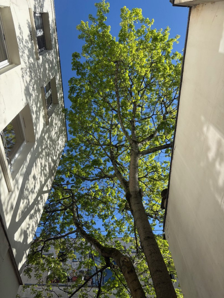 à vendre Triplex Paris 11eme Arrondissement - Photo 3