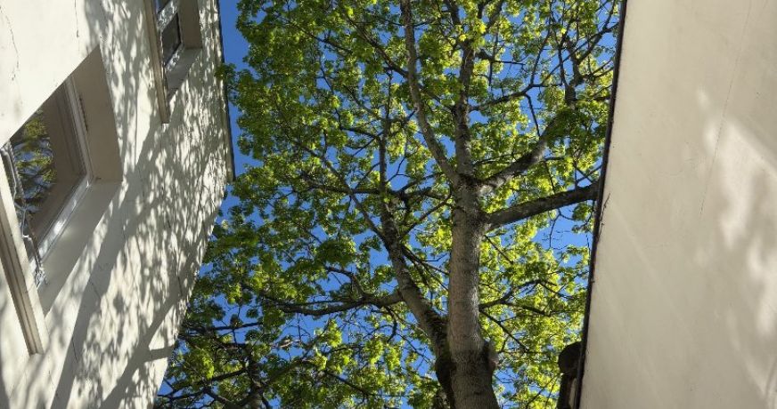 vente Triplex Paris 11eme Arrondissement