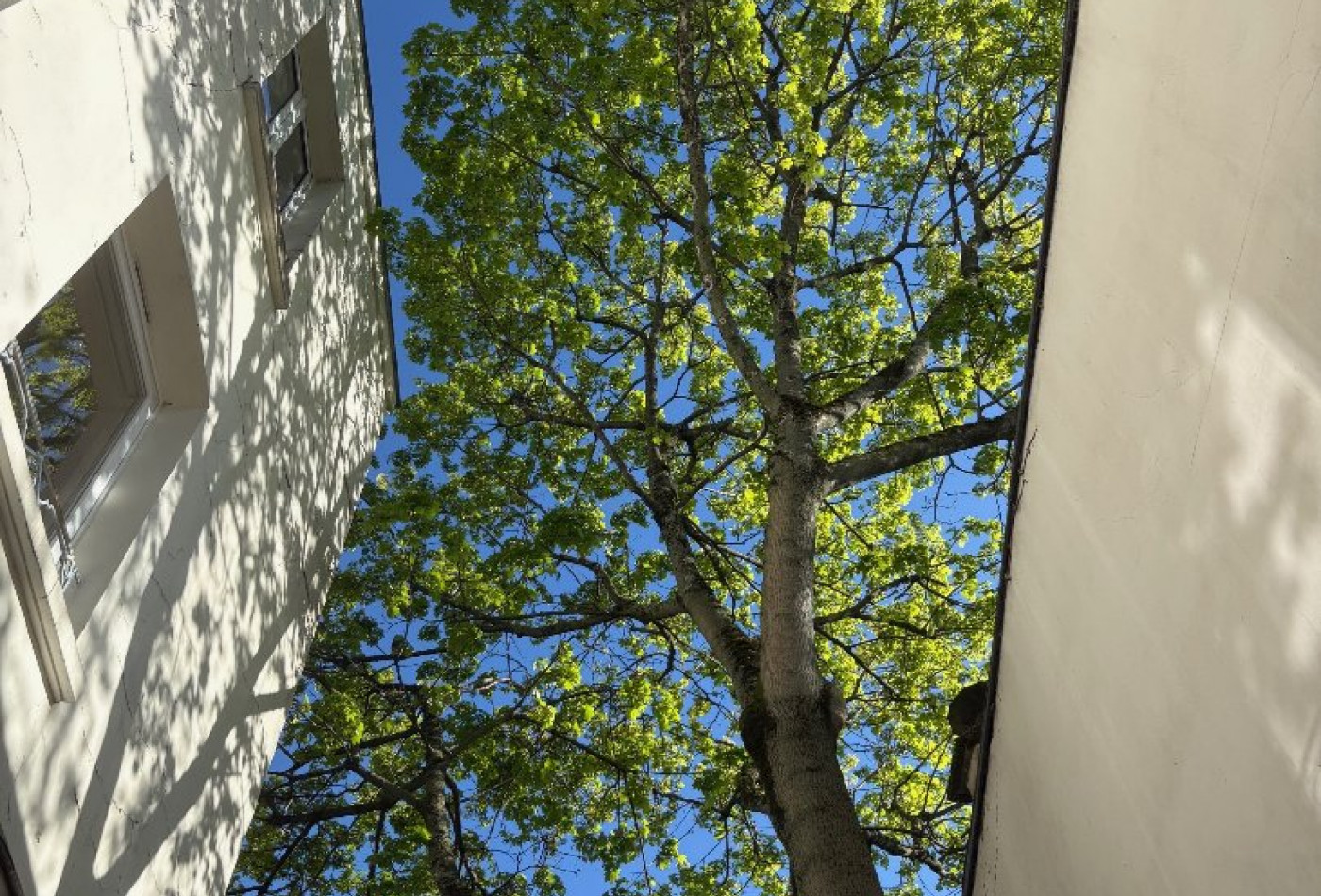 vente Triplex Paris 11eme Arrondissement - Photo 3