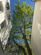 à vendre Triplex Paris 11eme Arrondissement
