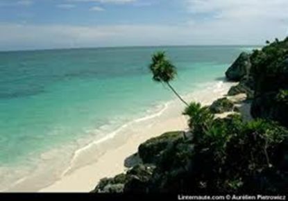 vente Restaurant Cherbourg-octeville