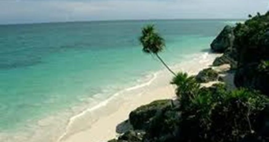 vente Restaurant Cherbourg-octeville