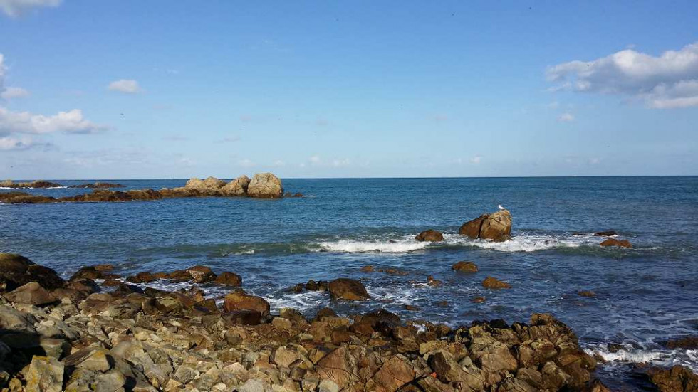 vente Loisir tourisme Saint Vaast La Hougue - Photo 1