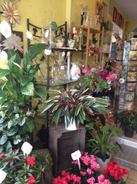 vente Fleuriste Brix - Photo 1