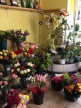 vente Fleuriste Brix
