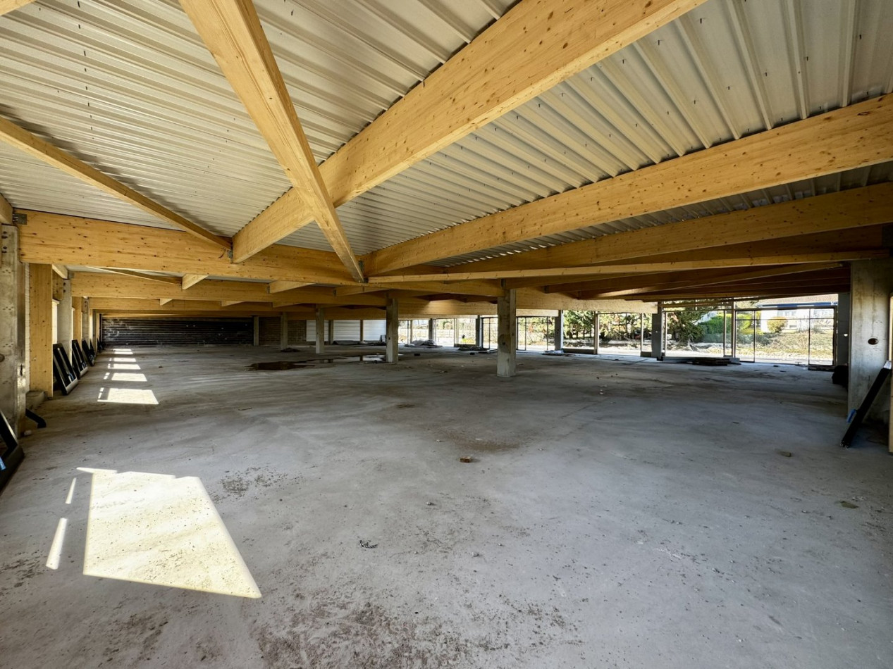 location Entrepot Cormontreuil - Photo 1