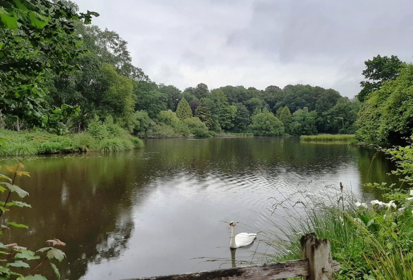 vente Maison Meslan - Photo 3