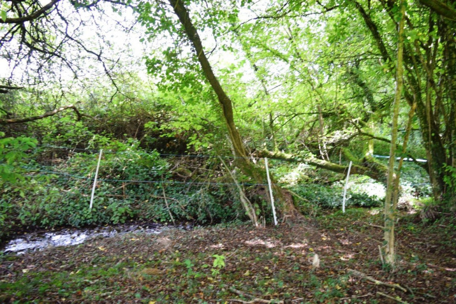 vente Maison Lignol - Photo 6