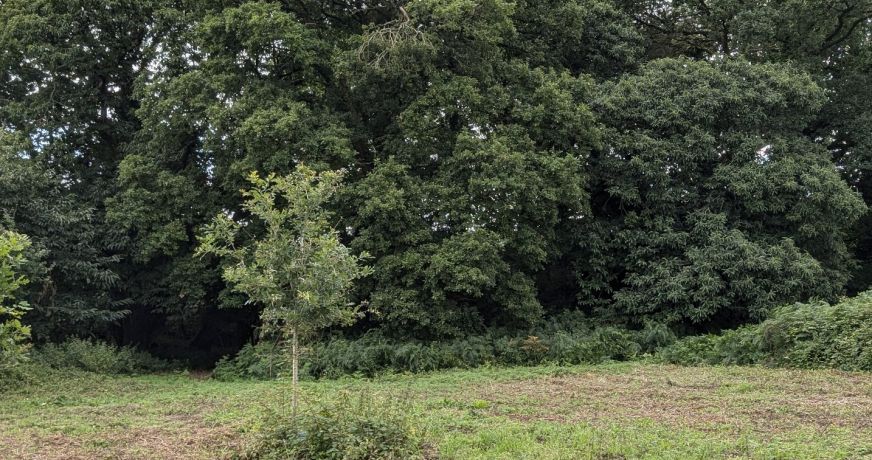 vente Maison à rénover Locarn