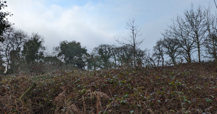 vente Maison à rénover Locarn