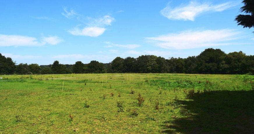 vente Maison Silfiac