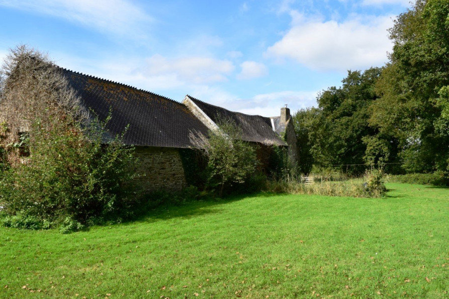 vente Maison Sainte Trephine - Photo 5