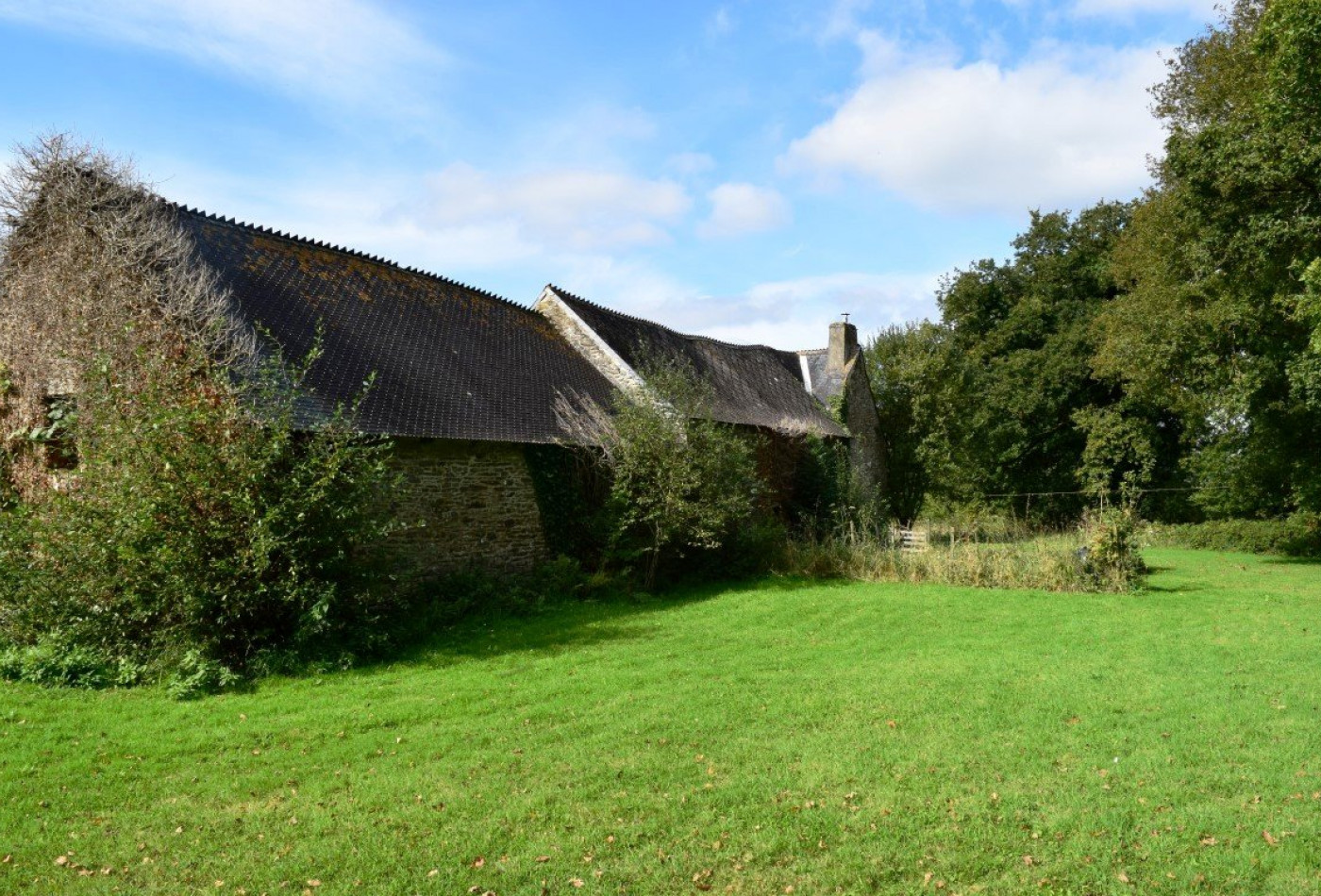 vente Maison Sainte Trephine - Photo 5