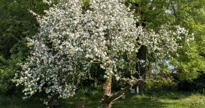 vente Maison de village Locarn