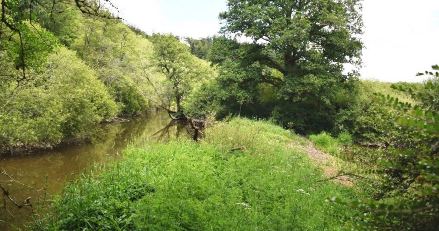 vente Maison Plounevezel