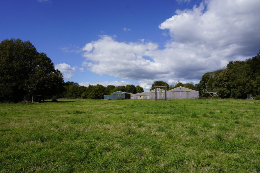 vente Hangar Saint Caradec Tregomel - Photo 1