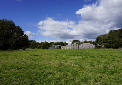 vente Hangar Saint Caradec Tregomel