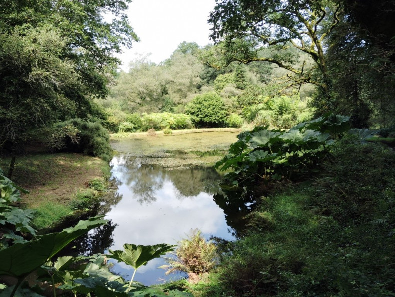 vente Maison Lignol - Photo 10