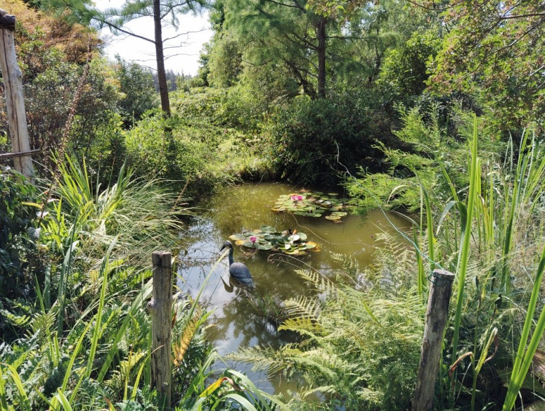 vente Maison Lignol - Photo 7