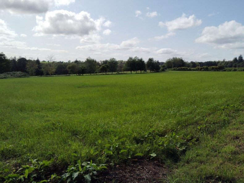 vente Maison Lignol - Photo 8