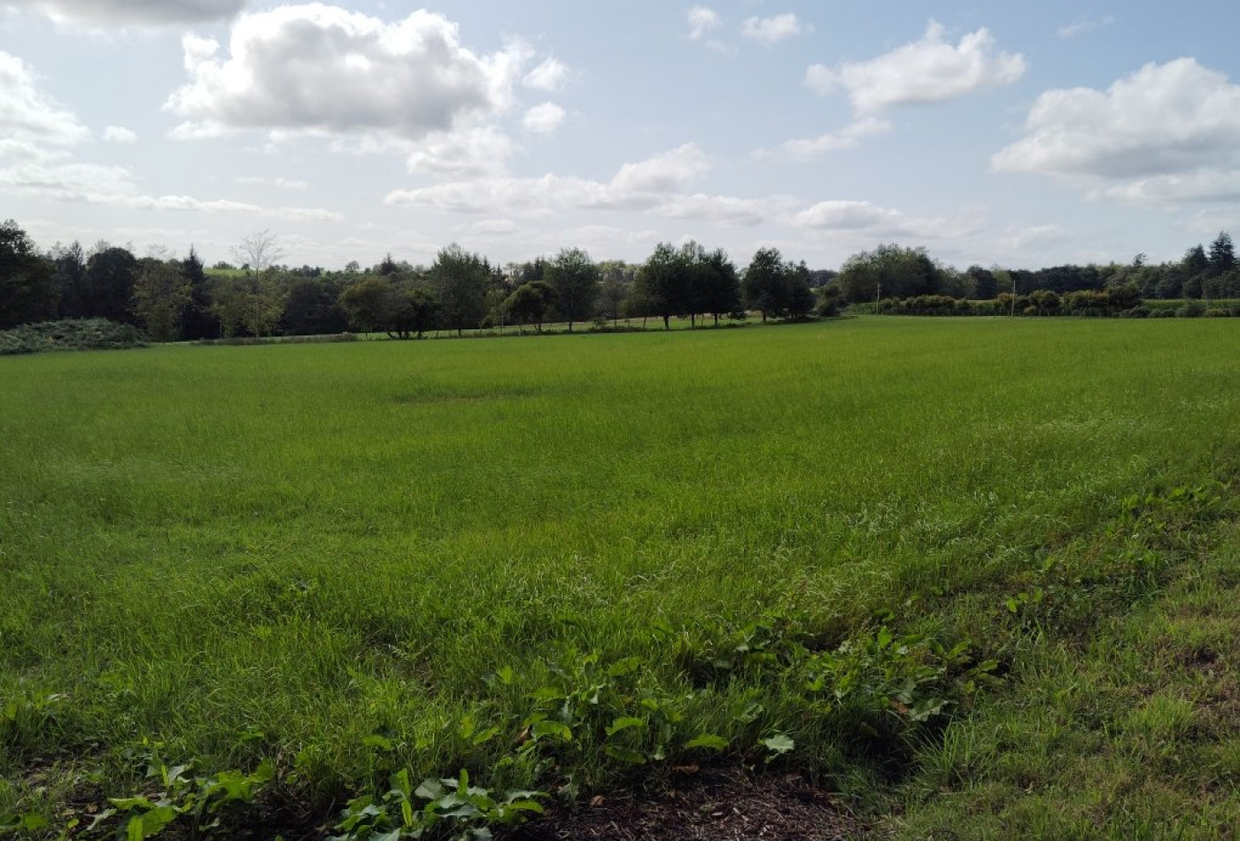 vente Maison Lignol - Photo 8