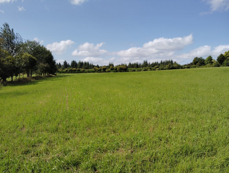 vente Maison Lignol - Photo 9