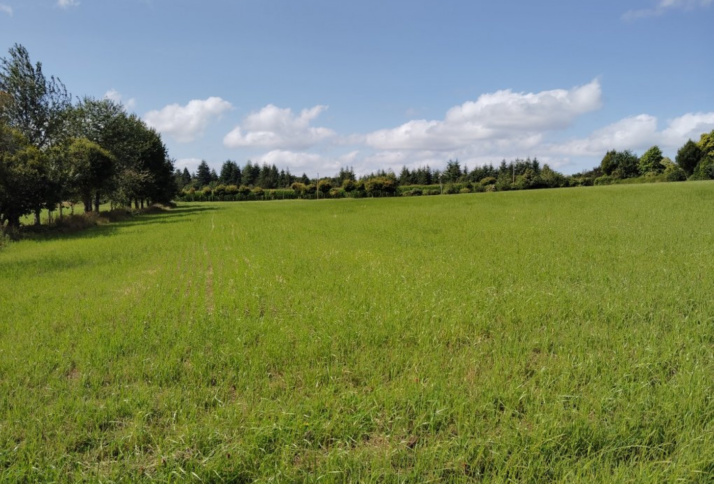 vente Maison Lignol - Photo 9