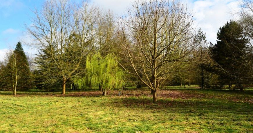 vente Maison Plussulien