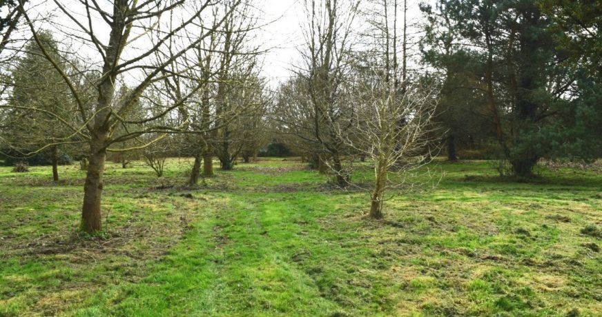 vente Maison Plussulien