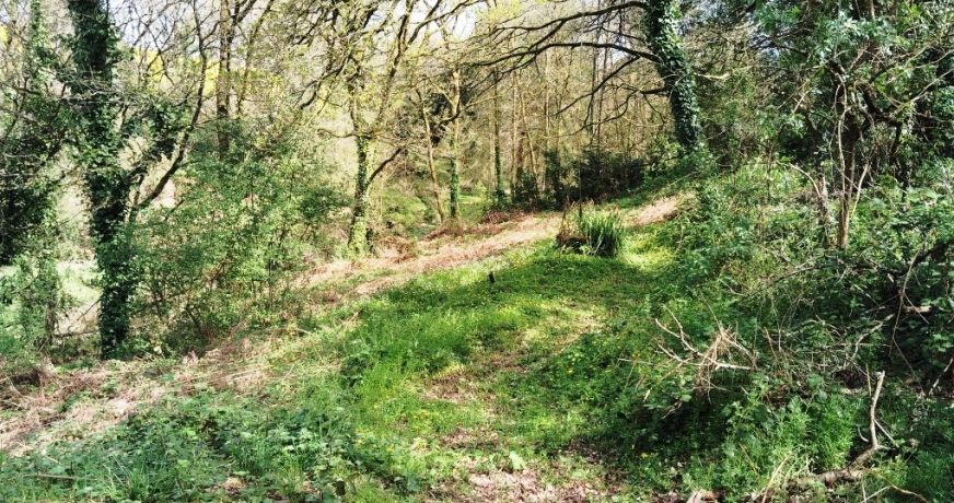 vente Maison Landeleau