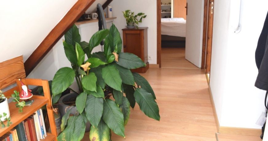vente Maison Priziac