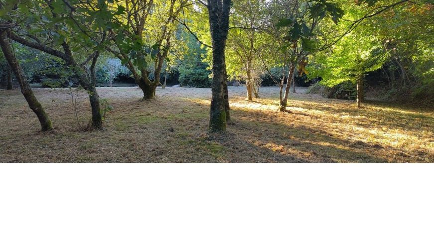 vente Maison Ploerdut
