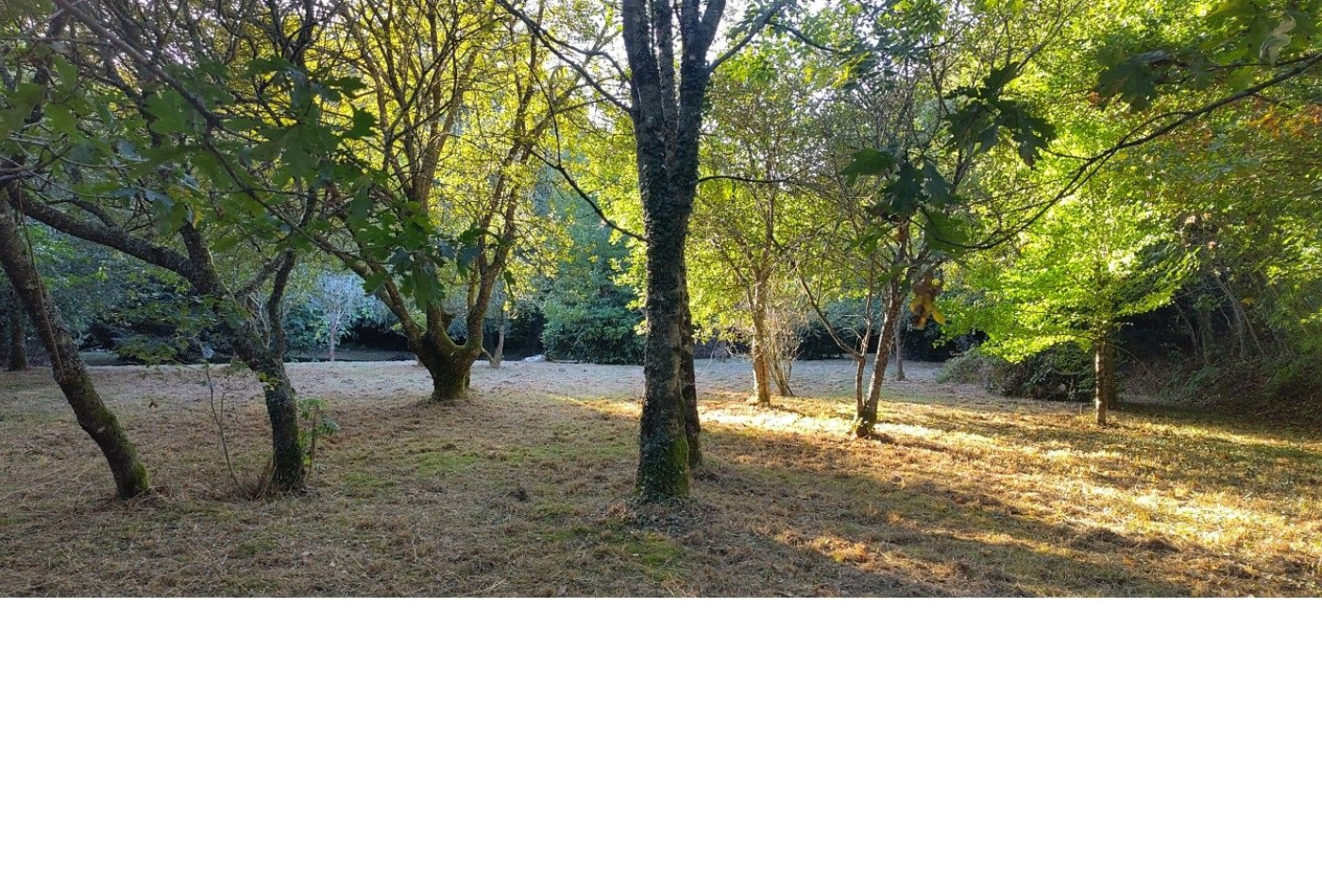vente Maison Ploerdut - Photo 4