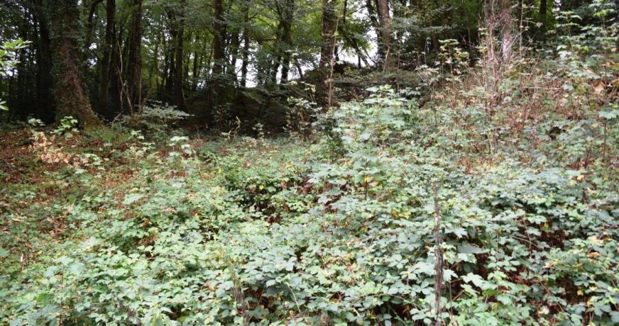 vente Maison Treve