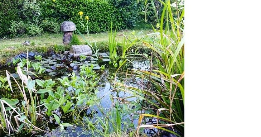vente Maison Ploerdut